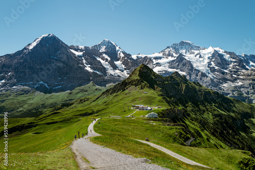 Scenic and sunny mountain landscape with a path crossing green alpine meadows near Jungfrau in Switzerland 