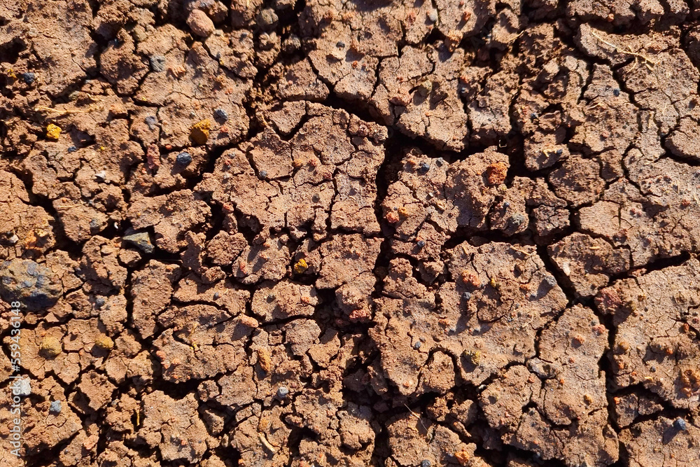 Fototapeta premium Texture of cracked red earth. Earth background. Red earth on Mars.