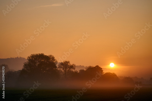 Sunrise over a misty field