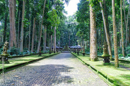 Sangeh monkey forest in Bali near Ubud village. Indonesia