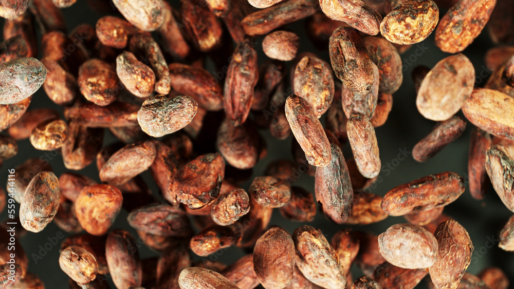 Cocoa beans flying in the air in freeze motion. Cocoa beans flying in the air in freeze motion.