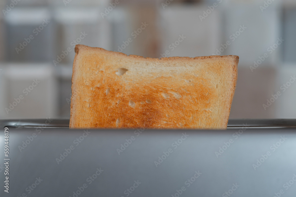 Fototapeta premium bread in the toaster. kitchenware