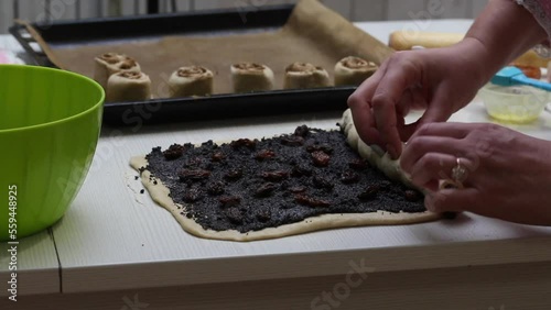 A woman wrapps raisins and poppies on a rolled test. It turns into a roll. Makes cinnamon buns. photo