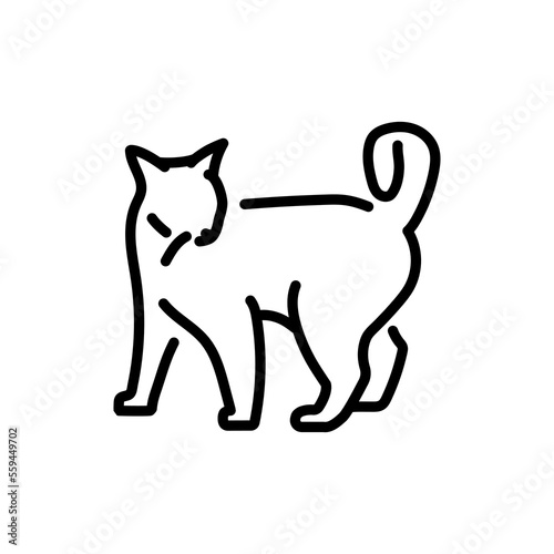 Playful cat standing color line icon. Pictogram for web page