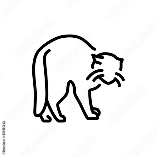 Standing angry cat color line icon. Pictogram for web page