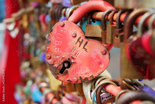 Many love padlocks locked on rusty iron gate in singapore 