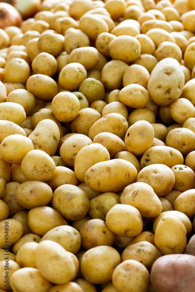 Potatoes in street market store on Sao Paulo city, Brazil Potatoes in street market store on Sao Paulo city, Brazil