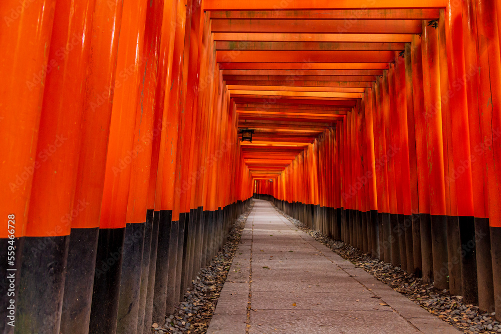Fototapeta premium ＜京都府＞伏見稲荷大社・千本鳥居