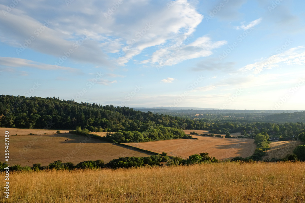 Views from Pewley Down in Guildford, Surrey during the summer drought of 2022.