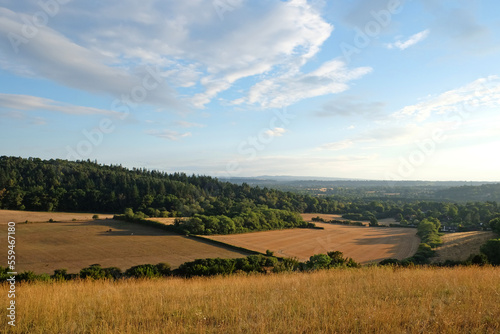 Views from Pewley Down in Guildford, Surrey during the summer drought of 2022. © Alexandra