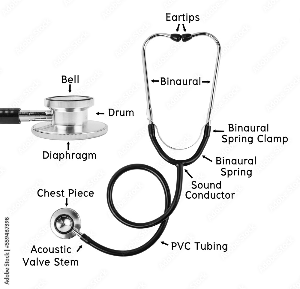 Anatomy of Stethoscope Medical or components of a Stethoscope Medical