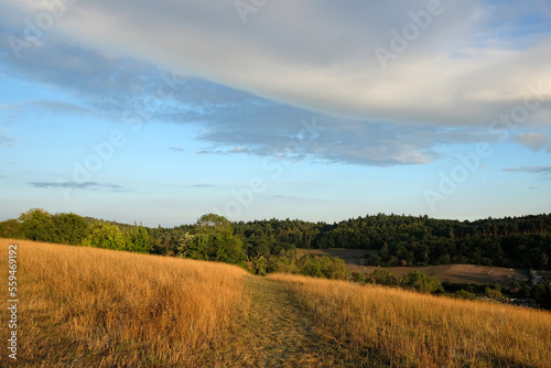 Views from Pewley Down in Guildford, Surrey during the summer drought of 2022.