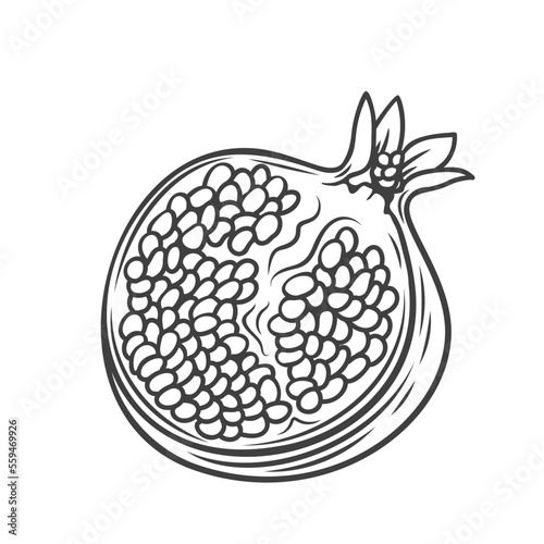 Half pomegranate line icon vector illustration. Hand drawn outline halved summer fruit, raw pomegranate cut in half with seeds for eating, piece of antioxidant vitamin product for vegetarian dessert
