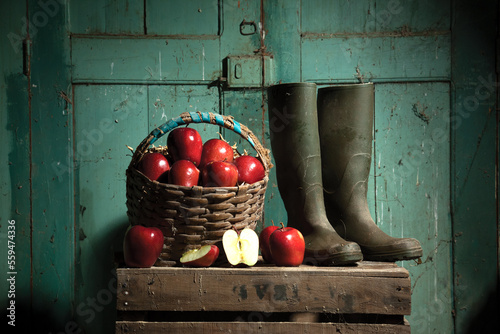 natureza-morta com maças vermelhas e galochas com porta verde no fundo paisagem rural
