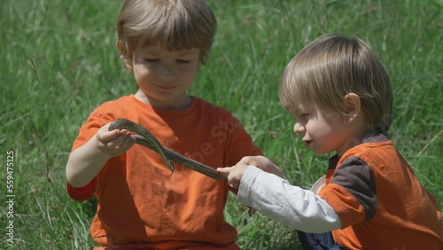Portrait of little blonde hair and blue eyes boy sit on grass hold a snake