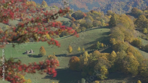 Red tree branch foreground, mountain autumn landscape in background, selective focus