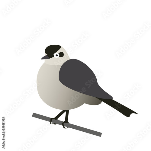 Calandria
