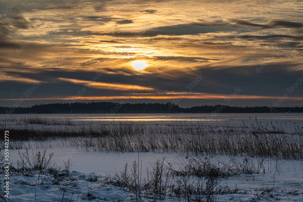 Winter sunrise with colorful sky over the lake with snow covered reed in foreground