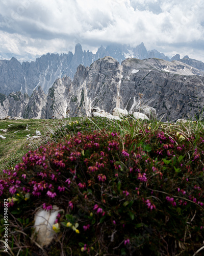 Dolomites - Südtirol - Italia