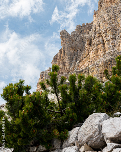 Dolomites - Südtirol - Italia