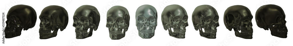 head, human skeleton head, human skeleton