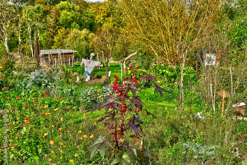 Jouy le Moutier; France - november 22 2022 : Ecancourt educational farm photo