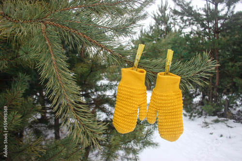 yellow mittens on clothespins on the Christmas tree