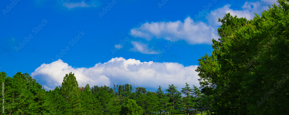 清々しい青空のゴルフ場・ティーイングエリアから見上げる空と雲と木々のパノラマ(千葉県木更津市) 清々しい青空のゴルフ場・ティーイングエリアから見上げる空と雲と木々のパノラマ(千葉県木更津市)