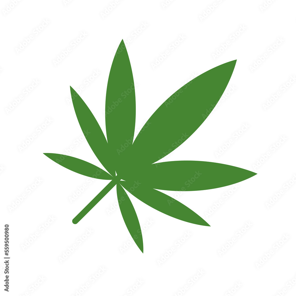 Marijuana leaf or cannabis. Hemp isolated on a white background.