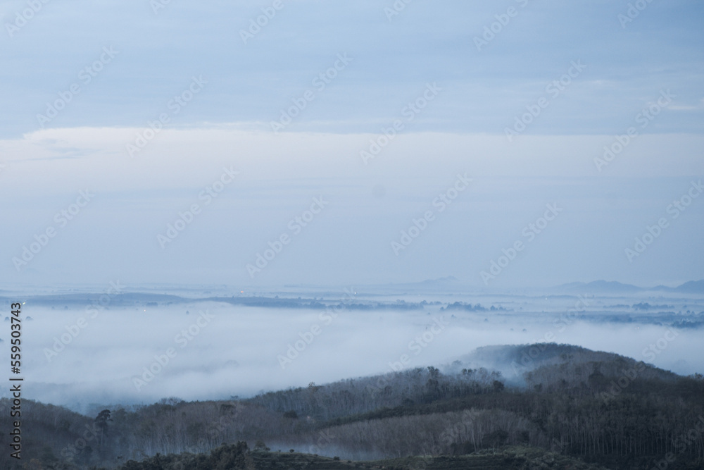 Landscape of the tropical forest covered with the white fog in the morning