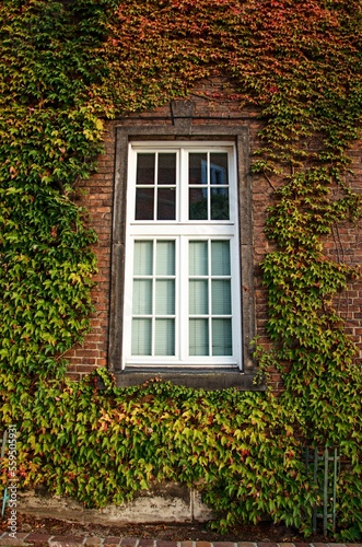 old brick wall with window