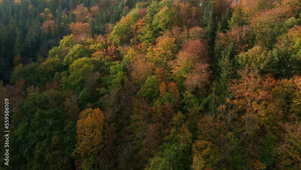 Drone flight over beautiful autumnal forest. Background of colored trees in woodland, aerial top view Drone flight over beautiful autumnal forest. Background of colored trees in woodland, aerial top view