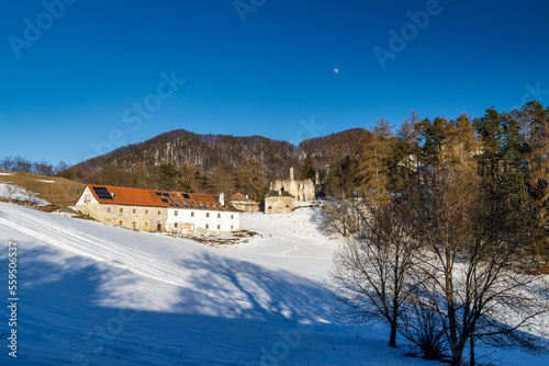 Ruins of Sklabina castle in winter, Slovakia, Europe.