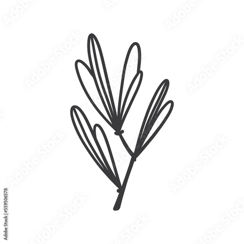 Hand drawn foliage branch vector  twig and leaves  flora