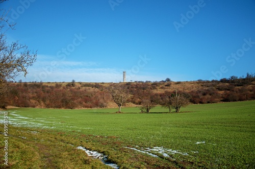 landscape with trees