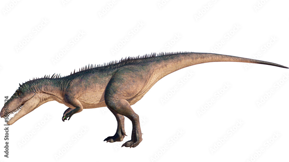 Carcharodontosaurus dinosaur isolated on blank background PNG ultra high resolution Carcharodontosaurus dinosaur isolated on blank background PNG ultra high resolution
