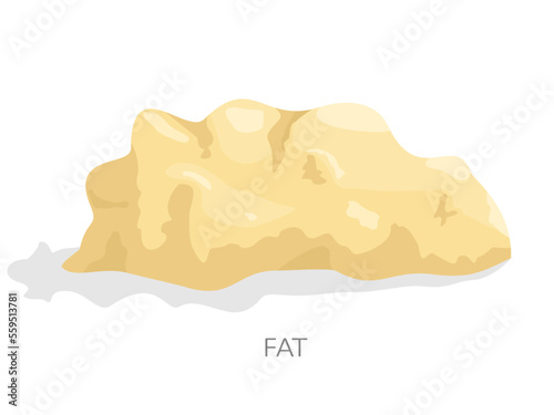 White fat tissue isolated on white background. Adipose tissue has role of storing lipid droplets, fatty acids. Vector illustration