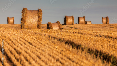 Fototapeta Naklejka Na Ścianę i Meble -  View of the Masurian fields.