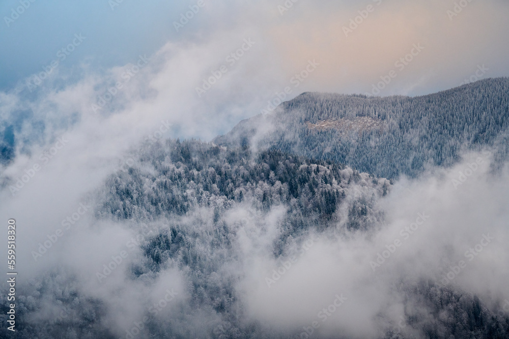 Foggy Landscape on winter days