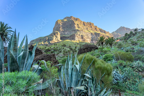 Aktiv auf Teneriffa, Kanarische Inseln: Die Masca Schlucht im Nordwesten - geführte Wanderung durch die berühmte, einzigartige Schlucht photo