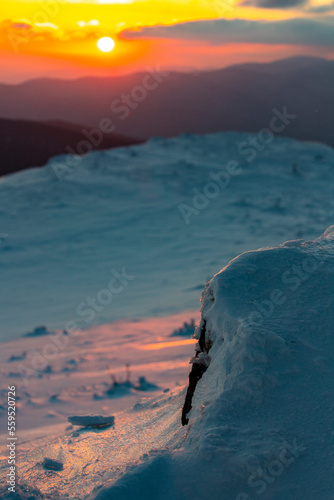 Fototapeta Naklejka Na Ścianę i Meble -  panorama of snowy mountains bieszczady at sunset, coniferous trees covered with snow, colorful winter sunset seen from the top of the mountain bukowe berdo