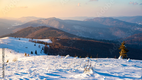 panorama of snowy mountains bieszczady at sunset, coniferous trees covered with snow, colorful winter sunset seen from the top of the mountain bukowe berdo
