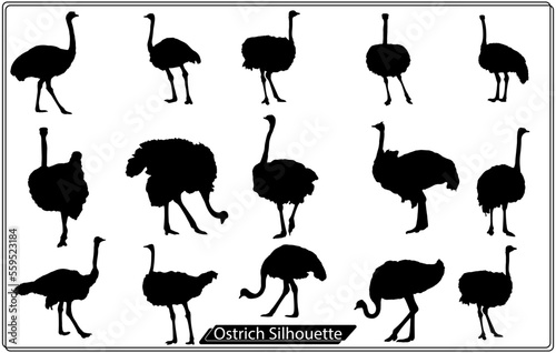 vector illustration of Ostrich silhouette 