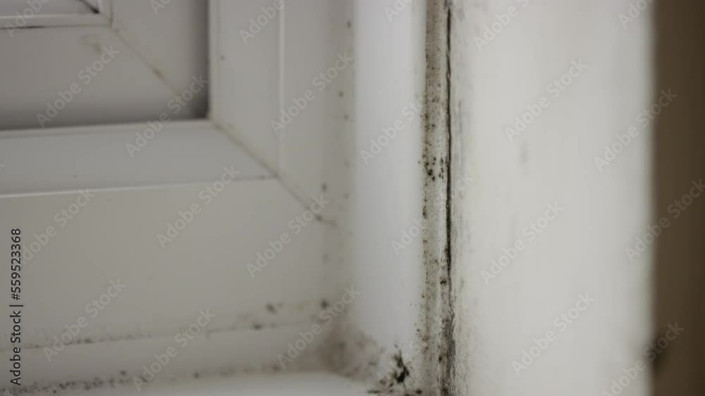 Camera moves around a window covered in black mould and condensation Camera moves around a window covered in black mould and condensation