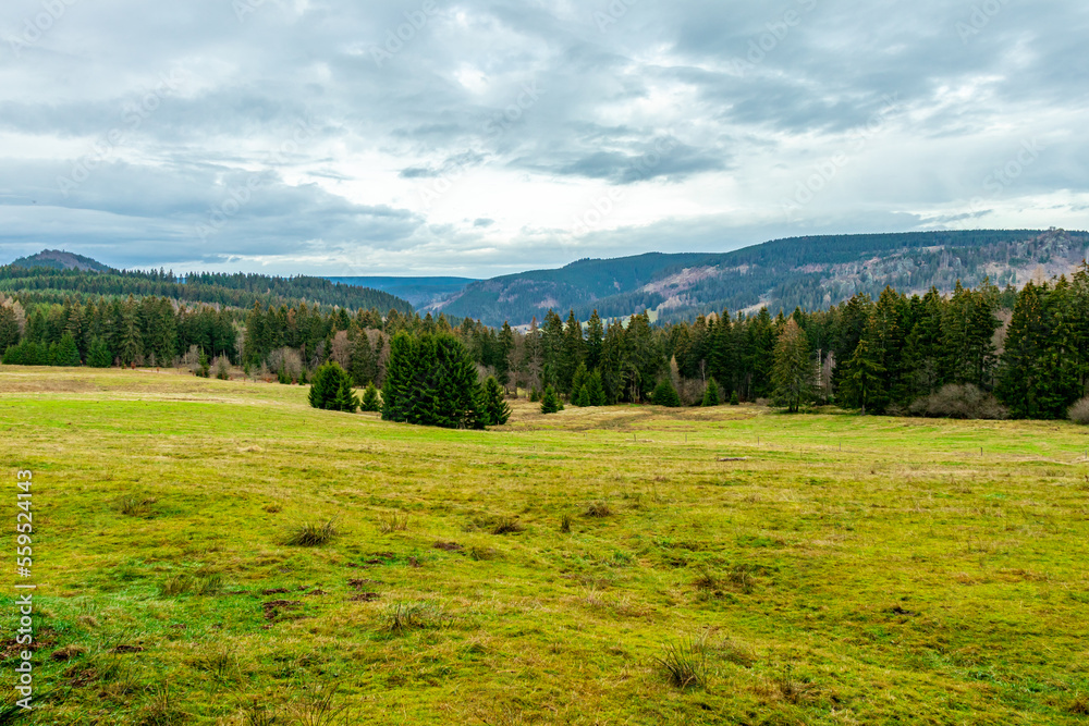 Wanderung zum Ruppberg im Thüringer Wald bei Zella-Mehlis - Deutschland