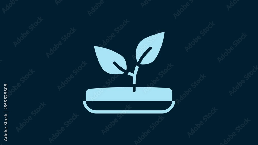 White Sprout icon isolated on blue background. Seed and seedling. Leaves sign. Leaf nature. 4K Video motion graphic animation
