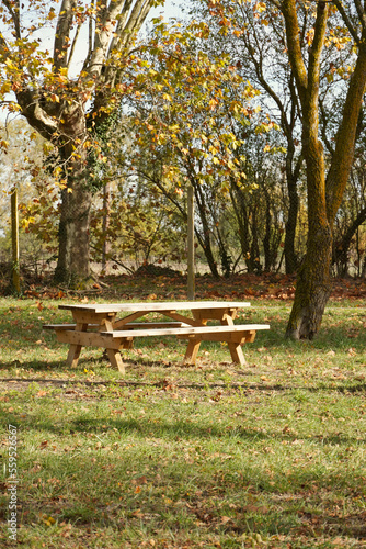 Wooden picnic table in nature. 