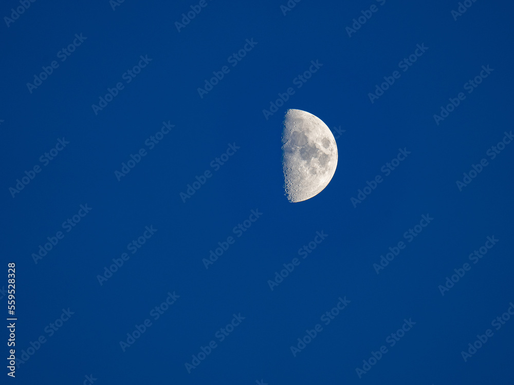 the growing moon in the first quarter with craters on the background of the blue evening sky the growing moon in the first quarter with craters on the background of the blue evening sky