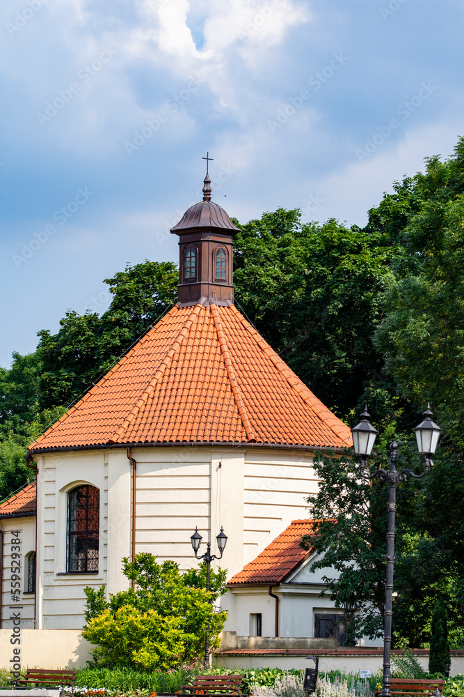 Fototapeta premium House or building on a sunny day obscured by green trees. Summer.