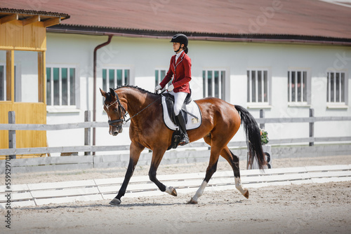 portrait of attractive woman rider and bay mare horse trotting during equestrian dressage competition in summer in daytime